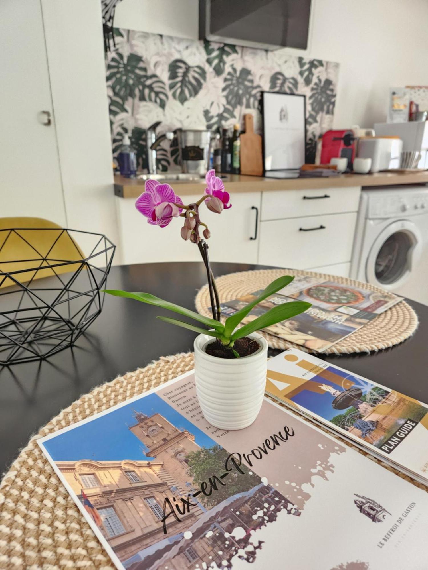 Appartement Le Beffroi De Gaston Climatise à Aix-en-Provence Extérieur photo